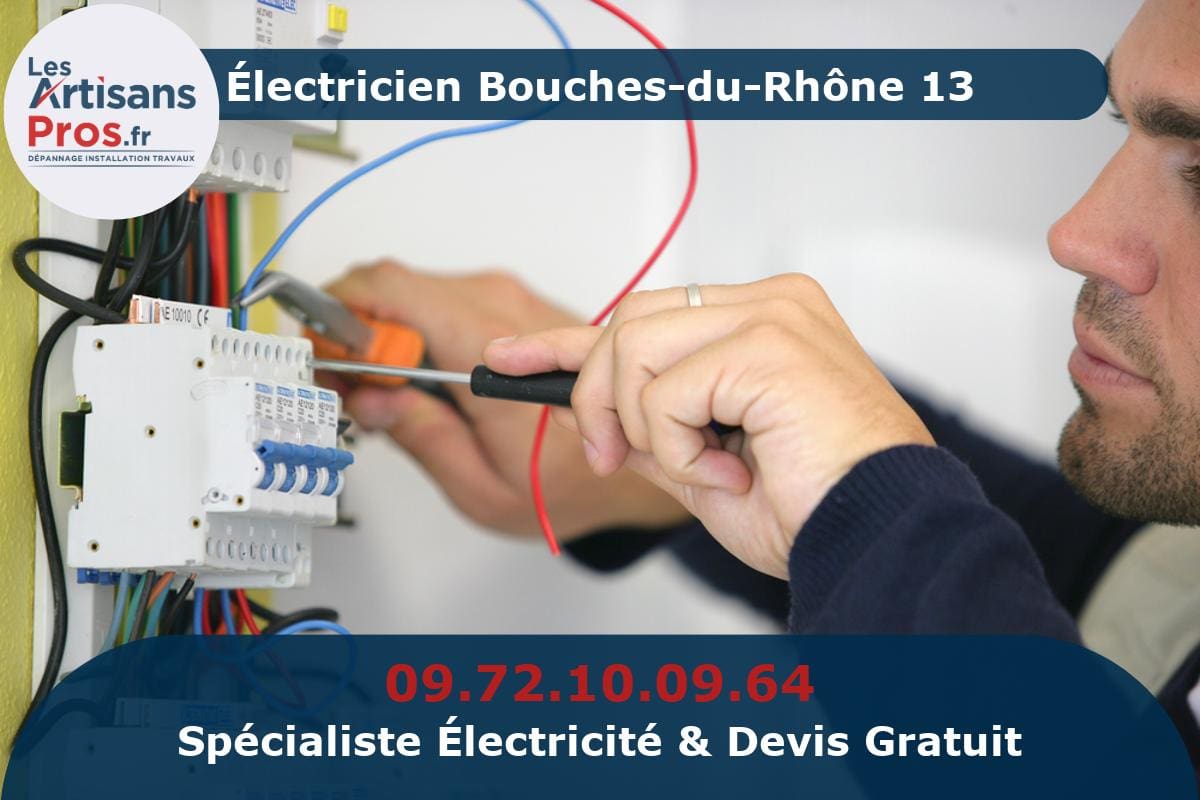Électricien Bouches-du-Rhône 13