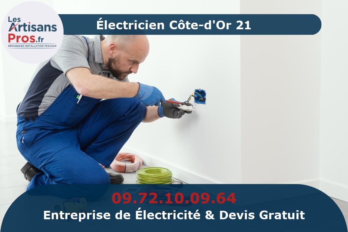 Électricien Côte-d’Or 21