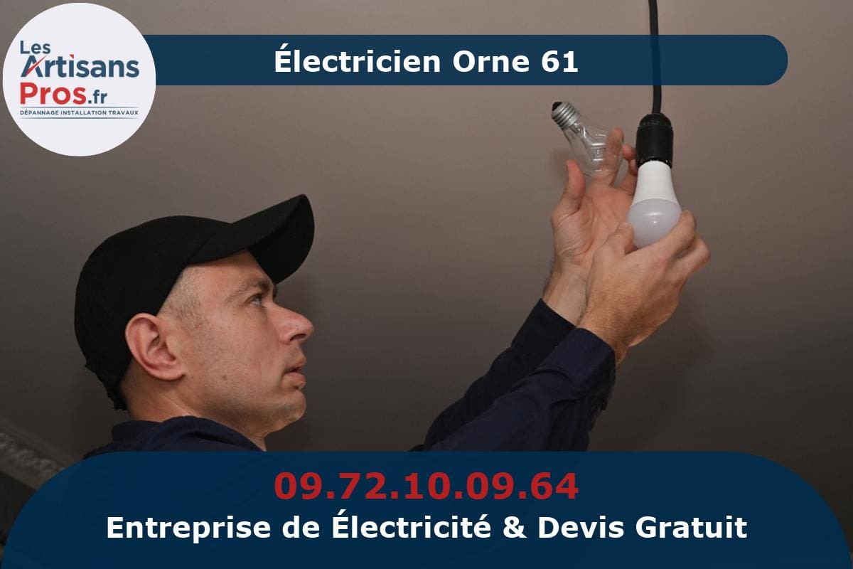 Électricien Orne 61