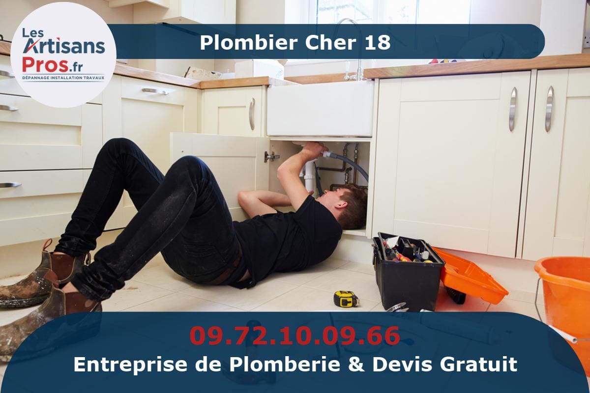 Plombier Cher 18