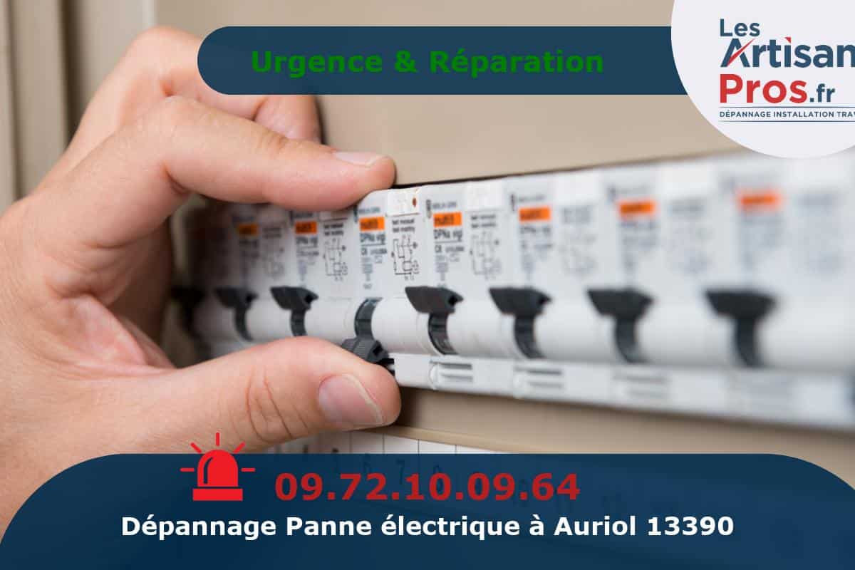 Dépannage Électrique Auriol