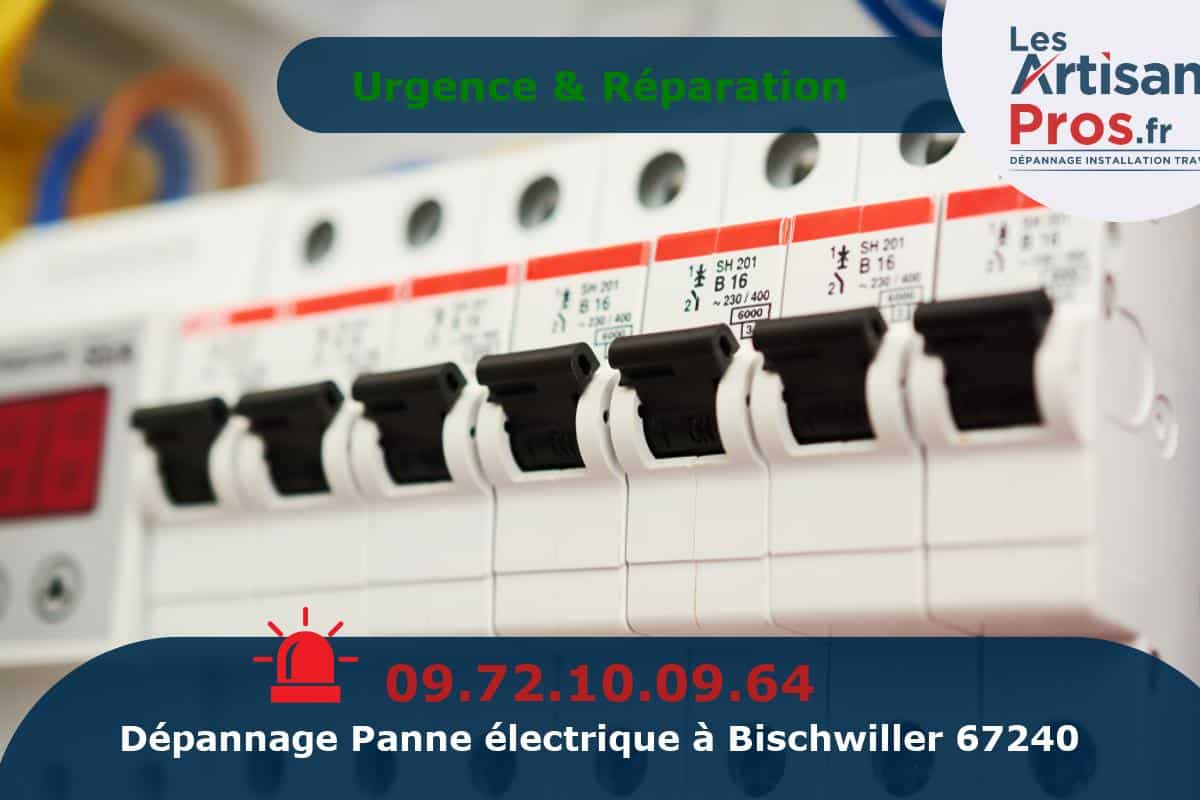 Dépannage Électrique Bischwiller