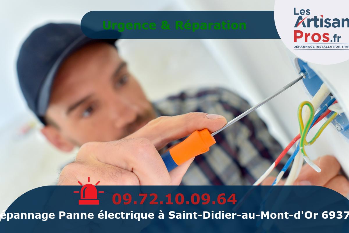 Dépannage Électrique Saint-Didier-au-Mont-d’Or