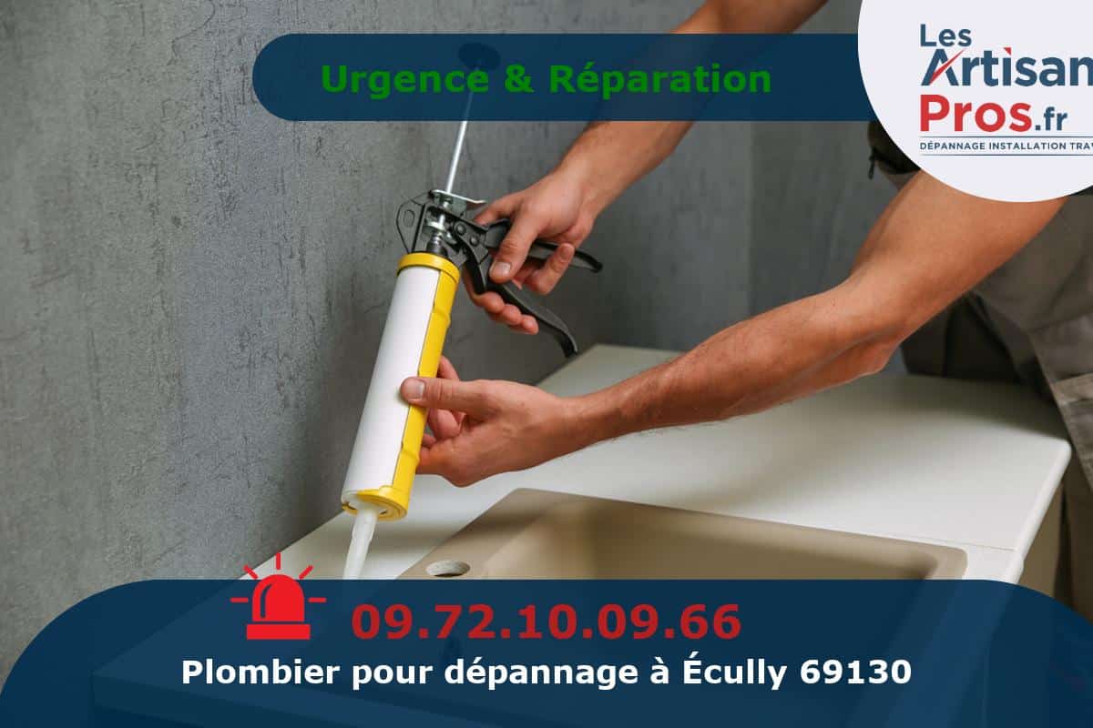 Dépannage de Plomberie Écully