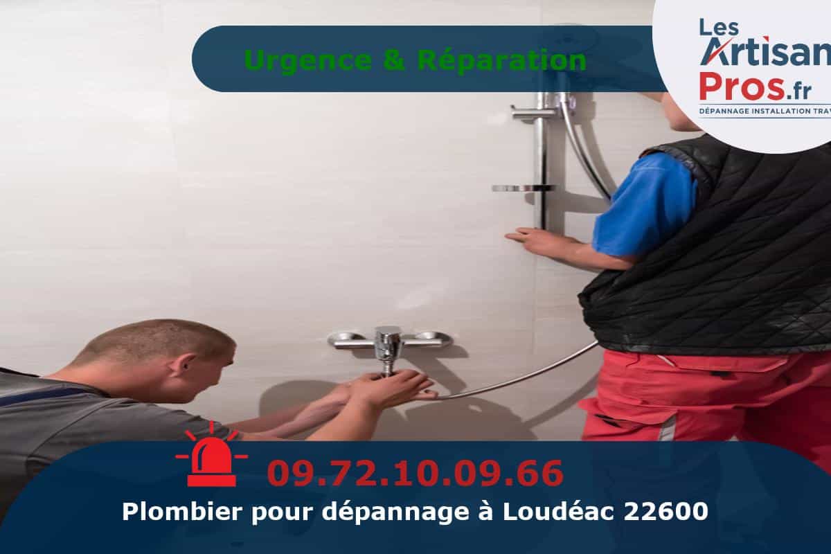 Dépannage de Plomberie Loudéac