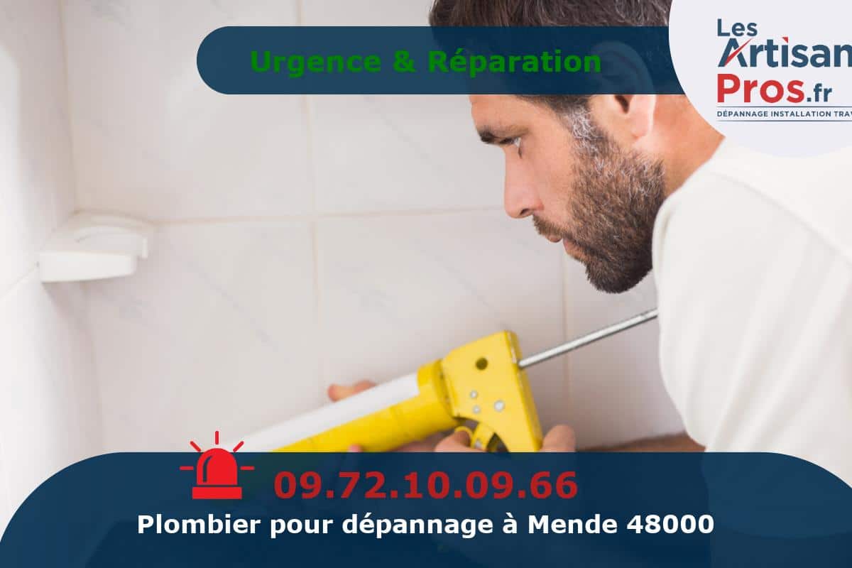 Dépannage de Plomberie Mende