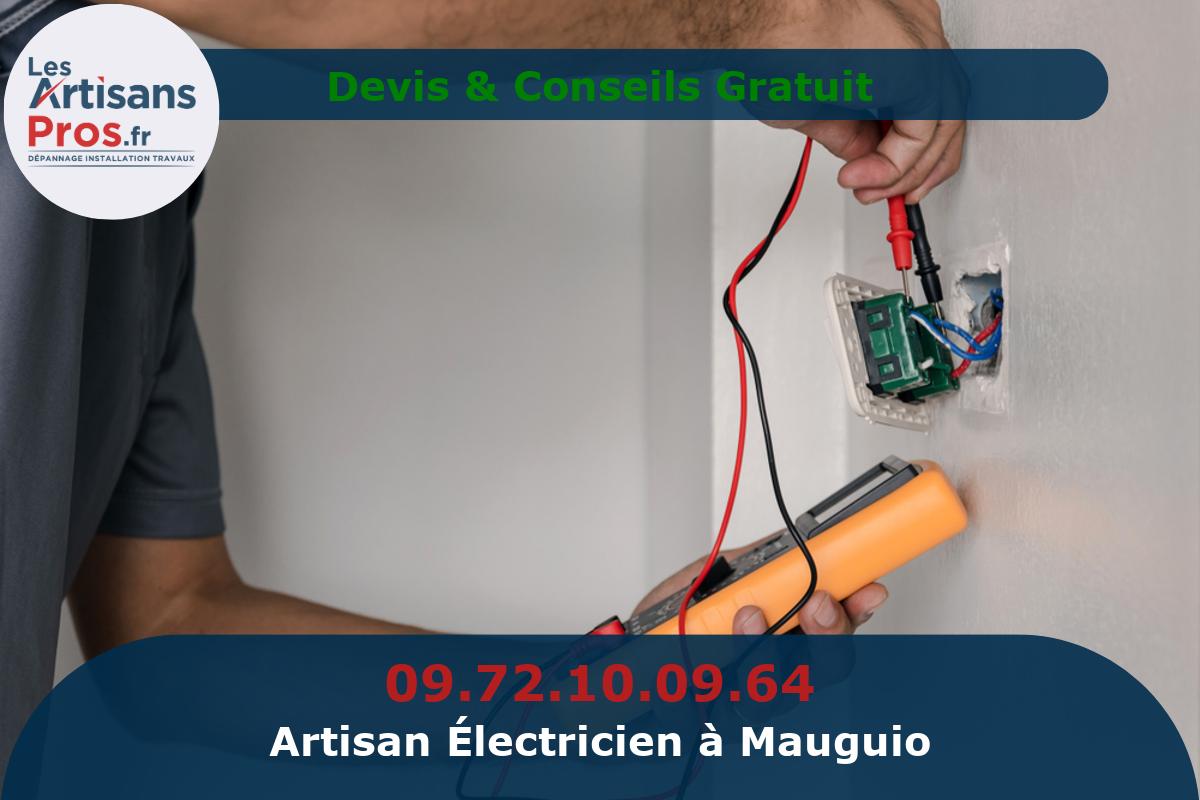 Électricien à Mauguio
