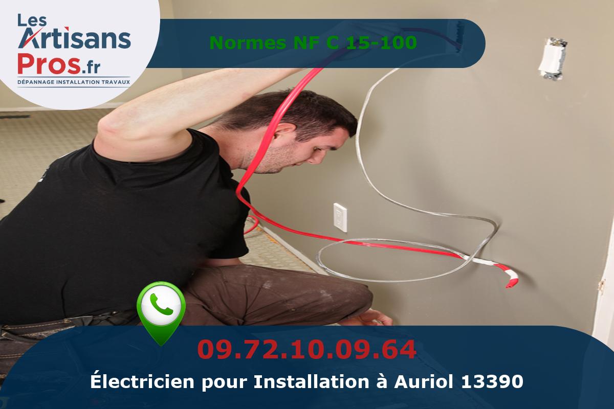 Installation Électrique Auriol