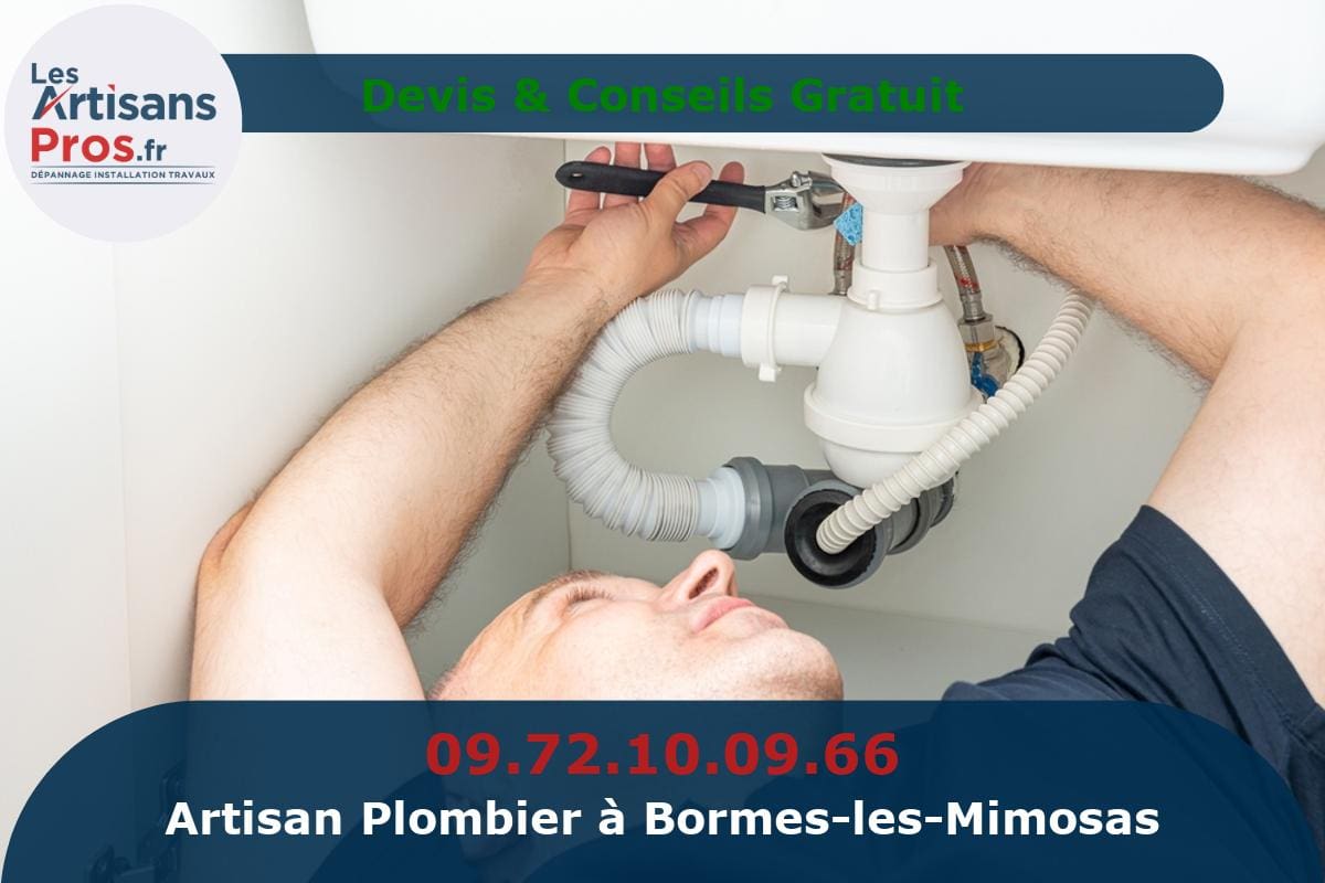 Plombier à Bormes-les-Mimosas