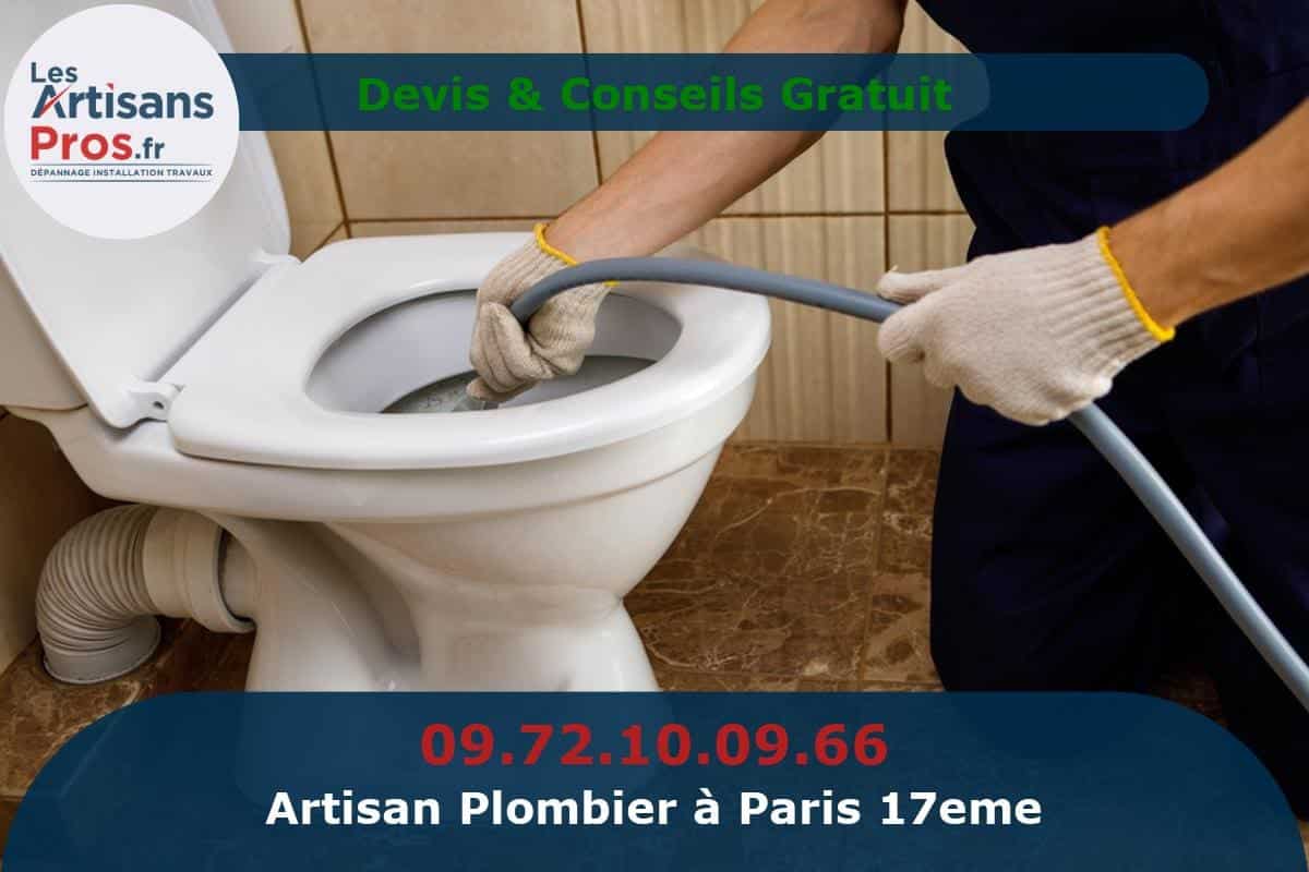 Mes dépanneurs artisans  Plombier débouchage WC à 80€