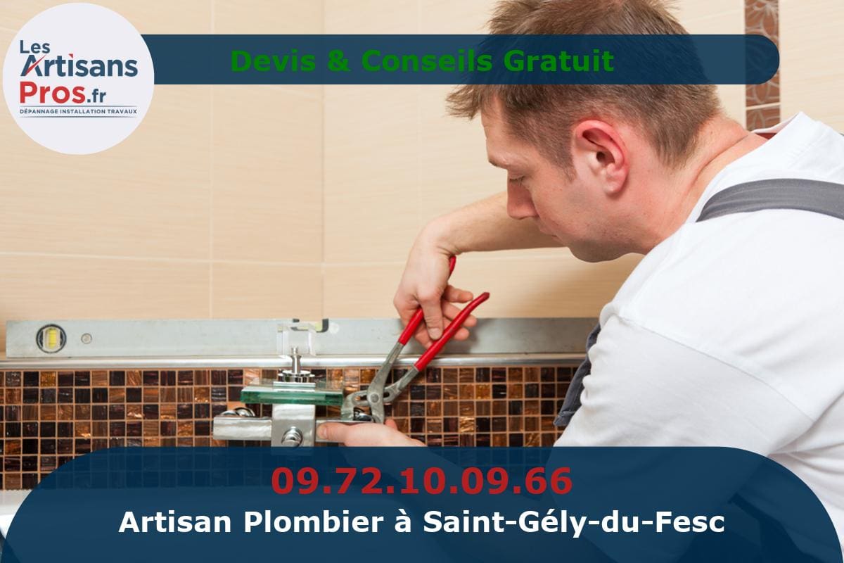 Plombier à Saint-Gély-du-Fesc