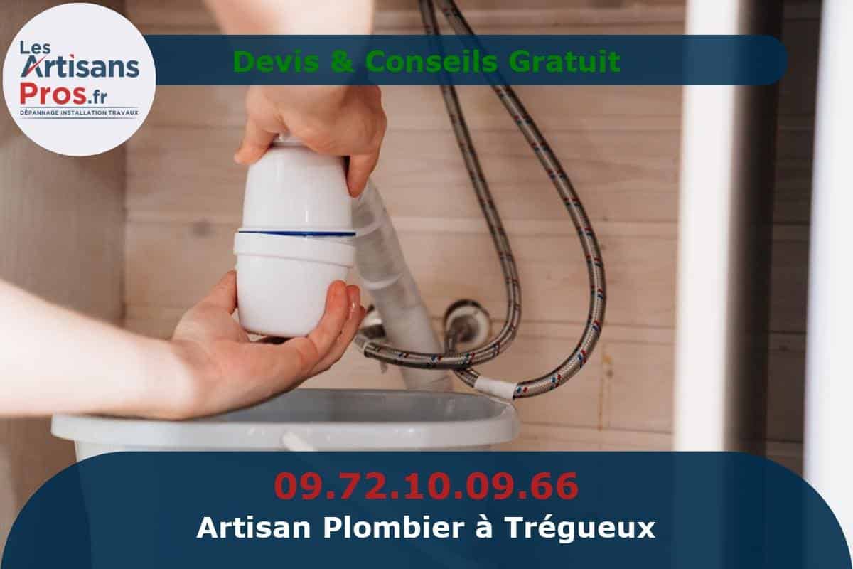 Plombier à Trégueux